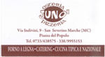 immagine6