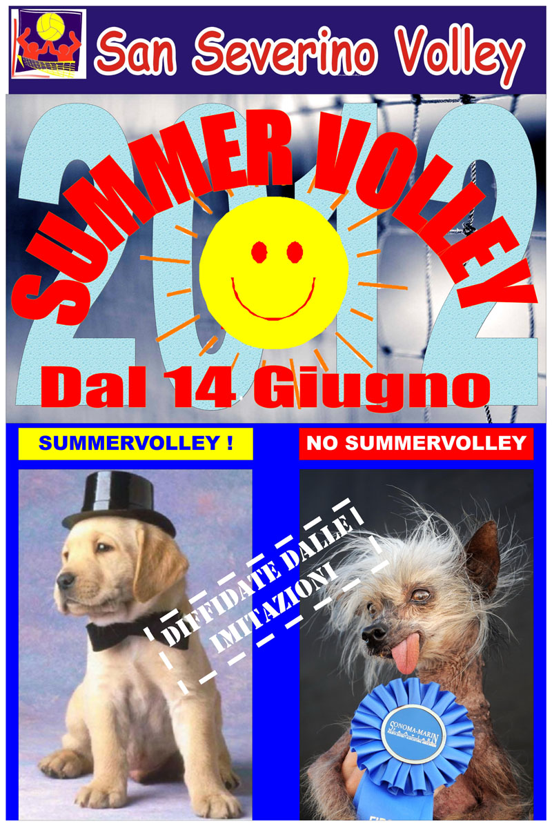 SummerVolley 2012